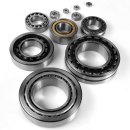 SKF 62214-2RS1