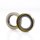 Wellendichtring 100x120x13 B1SL
